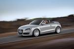 Audi TT Roadster 2007 года (WW)